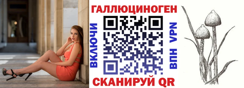 даркнет сайт  Судогда  Псилоцибиновые грибы мицелий 