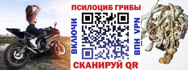 Псилоцибиновые грибы мухоморы Судогда